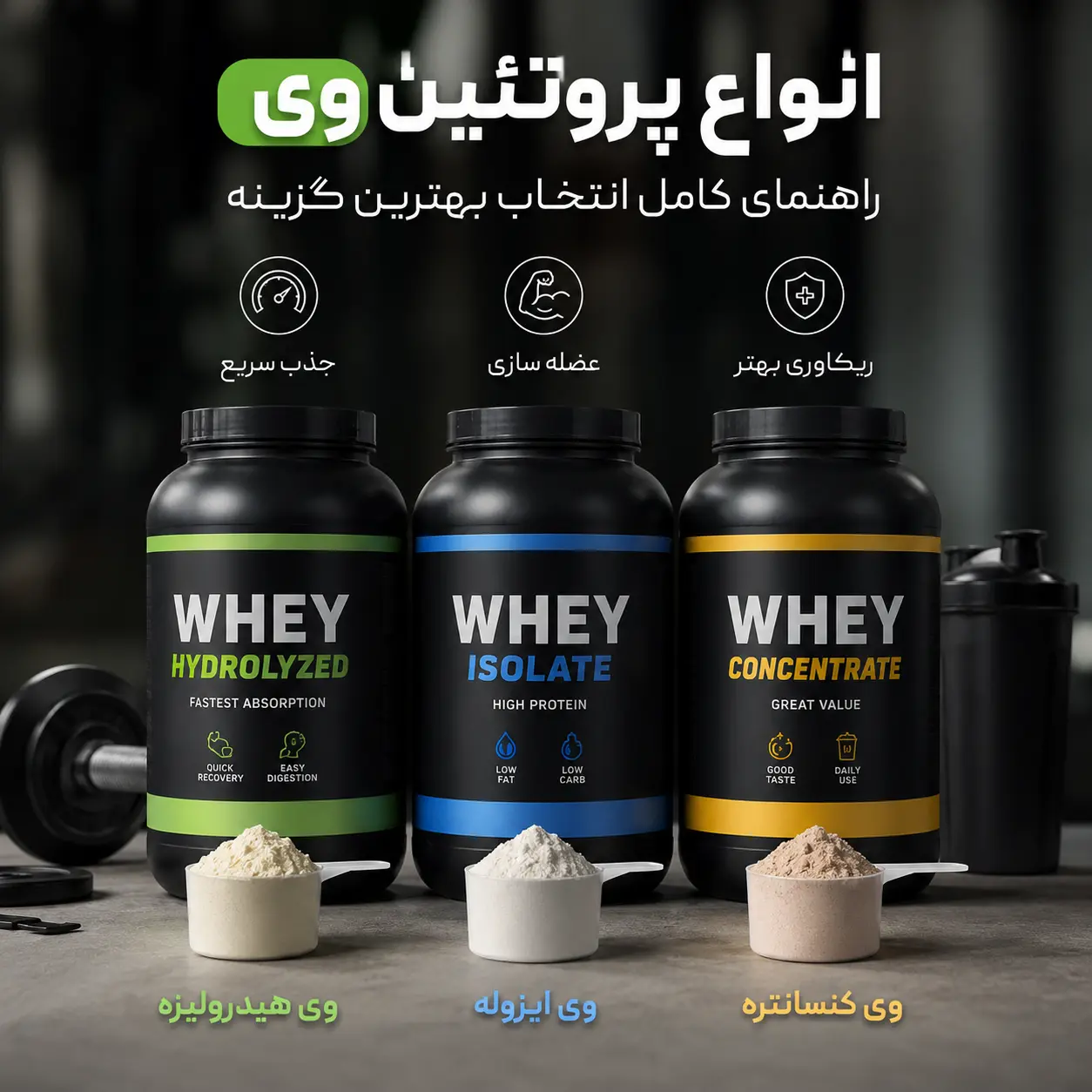 انواع پروتئین وی (کنسانتره، ایزوله و هیدرولیزه) + راهنمای انتخاب بهترین Whey Protein