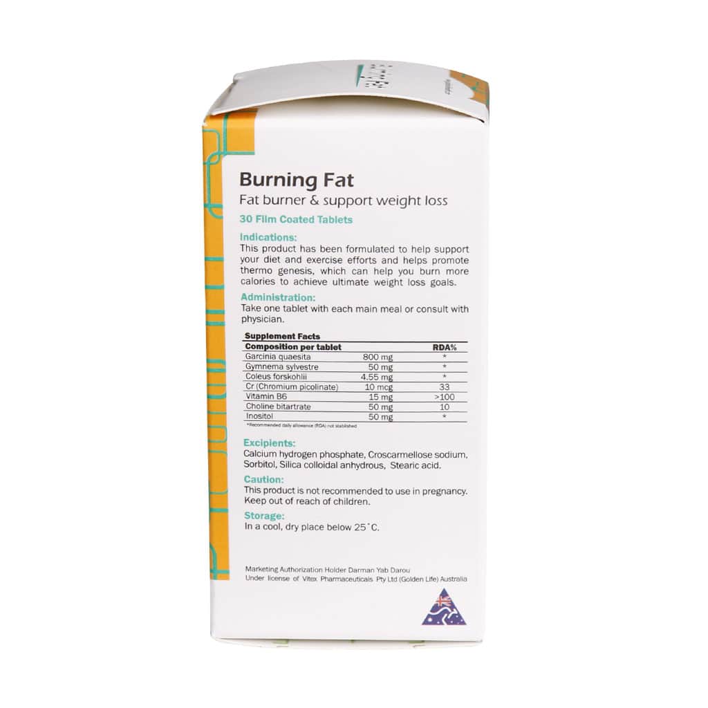 قرص روکش دار برنینگ فت گلدن لایف 30 عدد